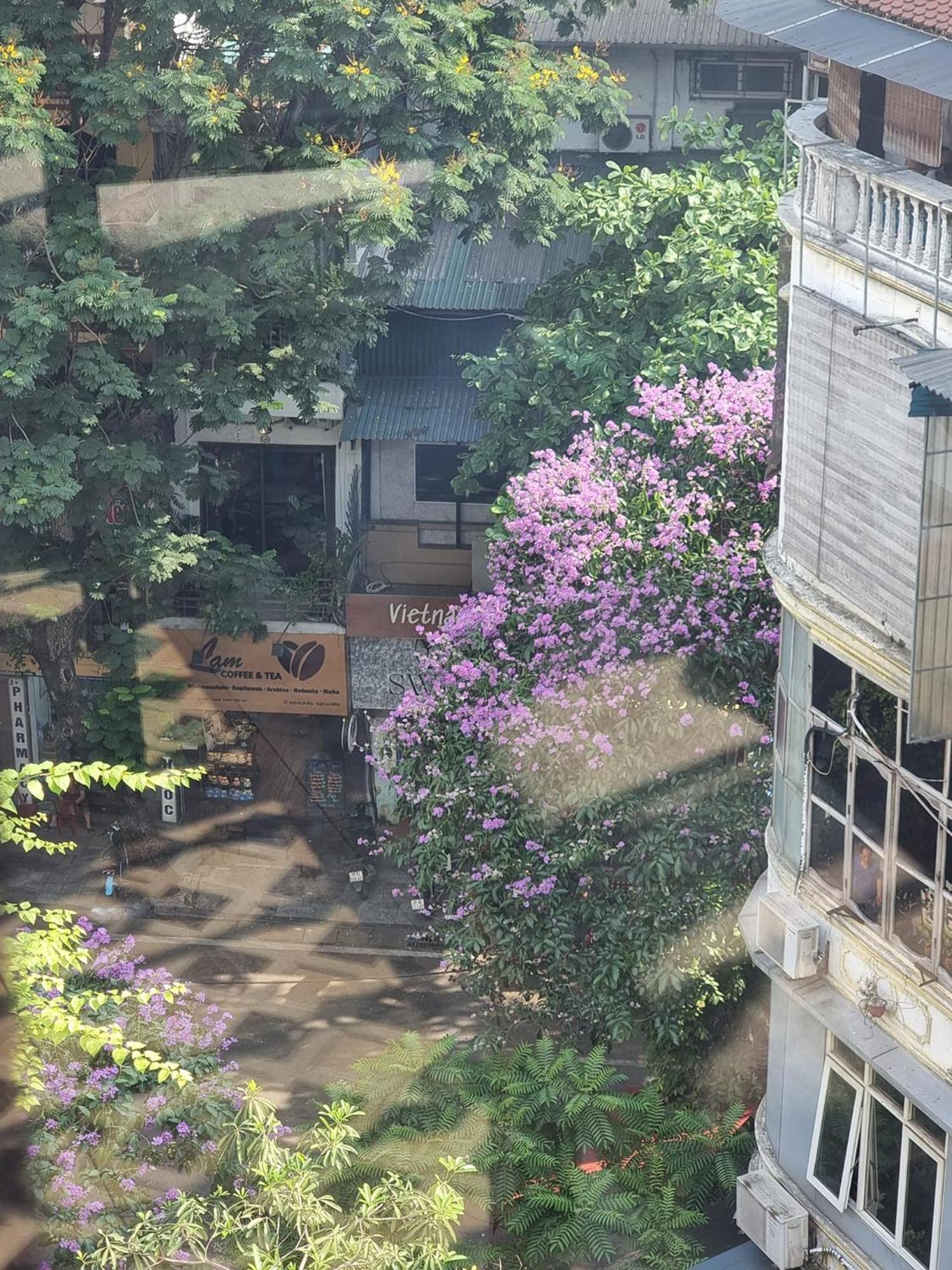 골든 문 스위트 호텔 하노이 외부 사진